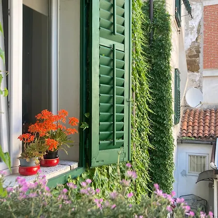 Apartmán Elegante A - Ascoli