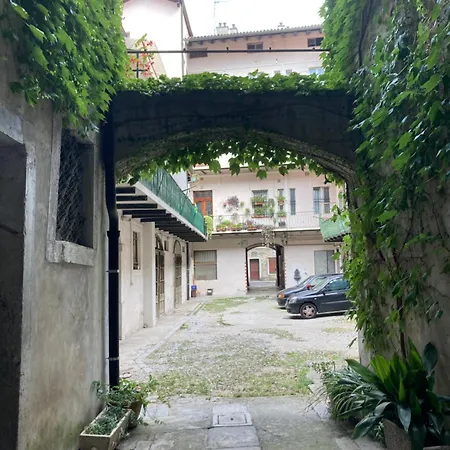 Elegante A - Ascoli